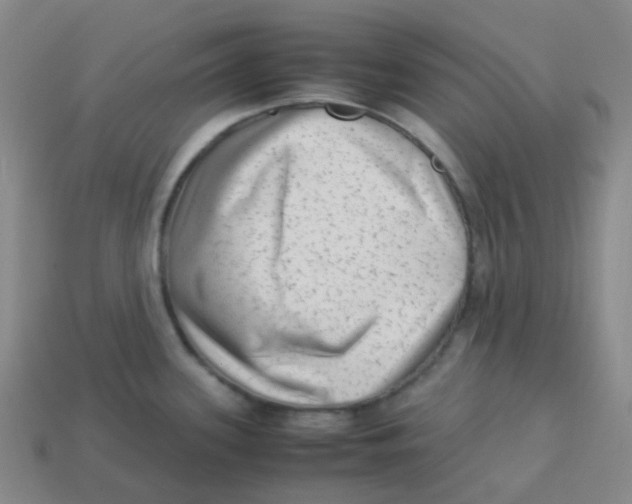 X0000113261339200910081331