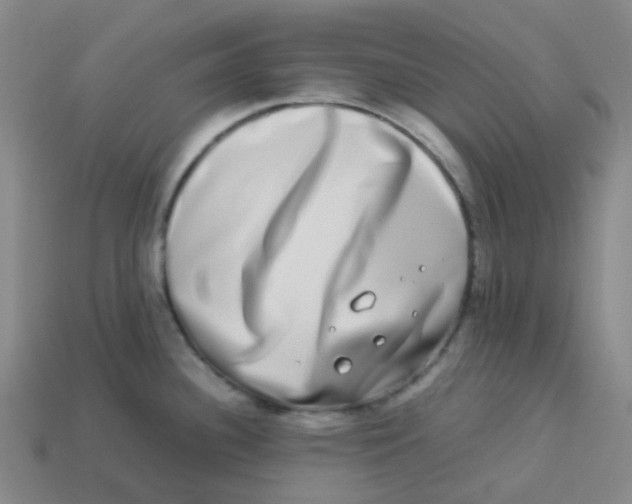 X0000113261340200910081331