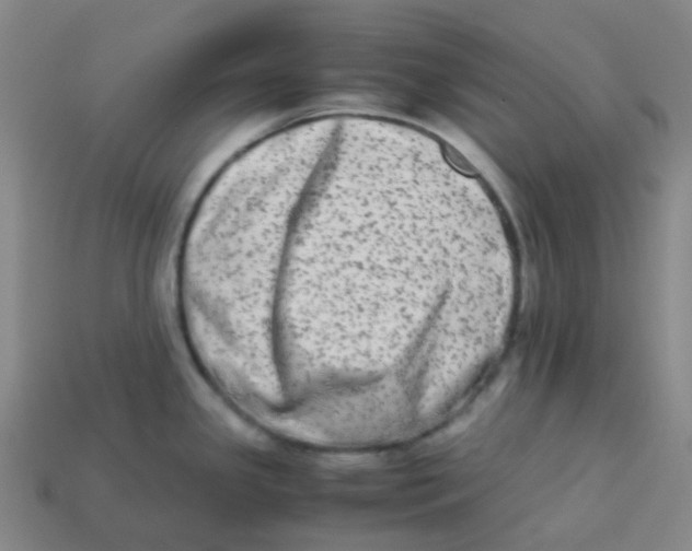 X0000113261341200910081331