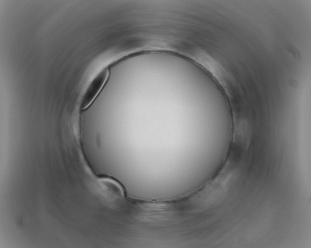 X0000113261342200910081332