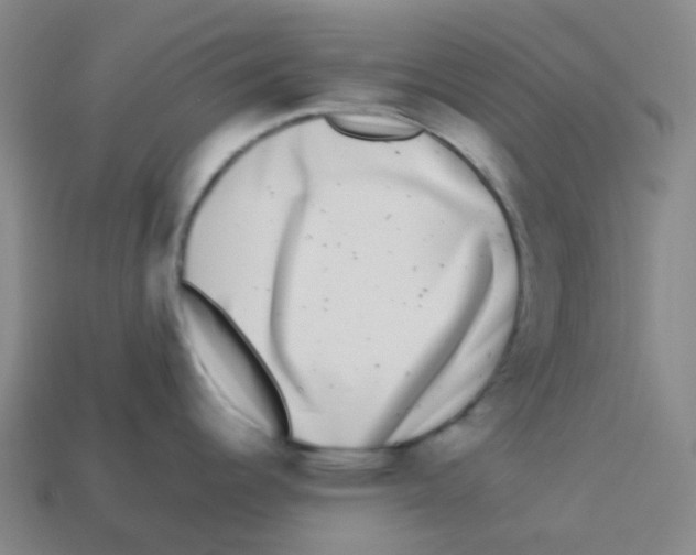 X0000113261344200910081332