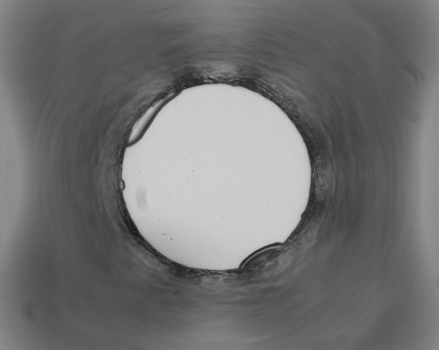 X0000113261345200910081331