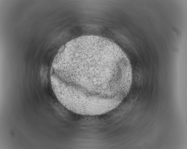 X0000113261346200910081331