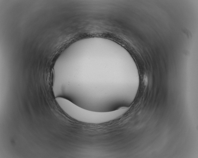 X0000113261348200910081331