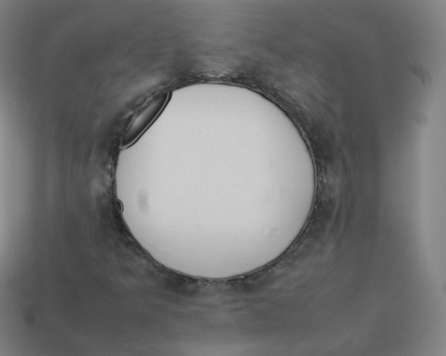 X0000113261349200910081331