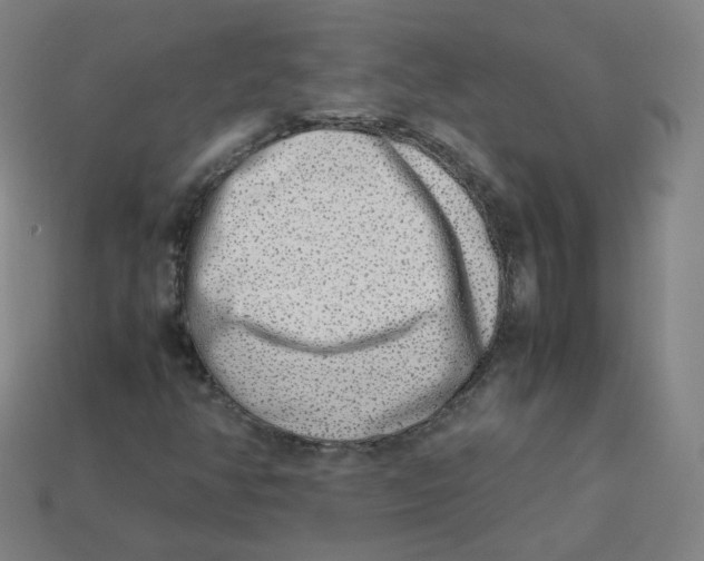 X0000113261350200910081331
