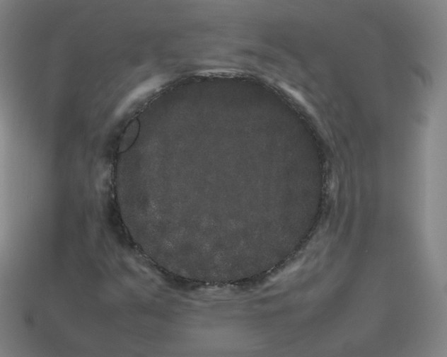 X0000113261351200910081331