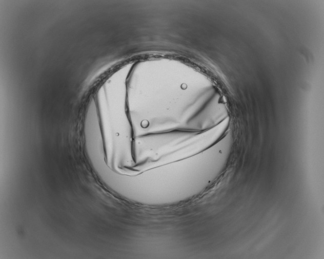 X0000113261352200910081331
