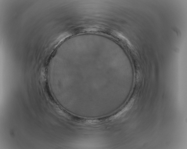 X0000113261353200910081331