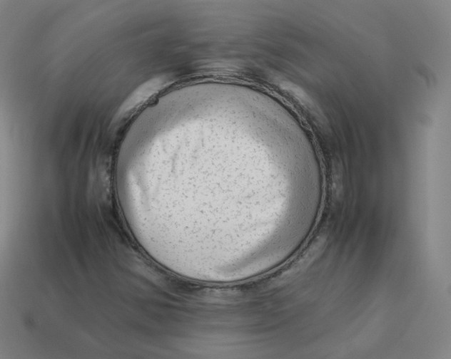 X0000113261354200910081331