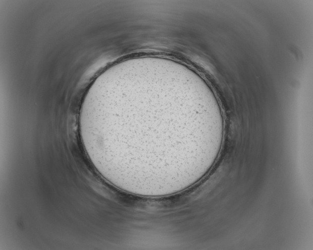 X0000113261355200910081331