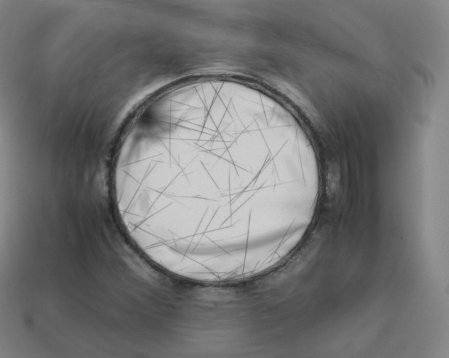 X0000113261356200910081331