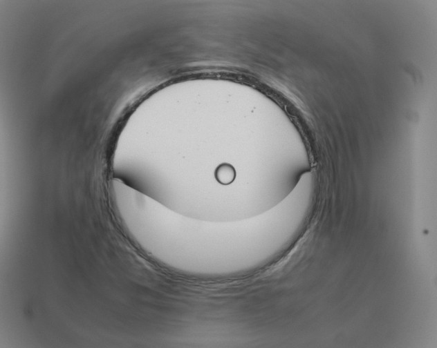 X0000113261357200910081331