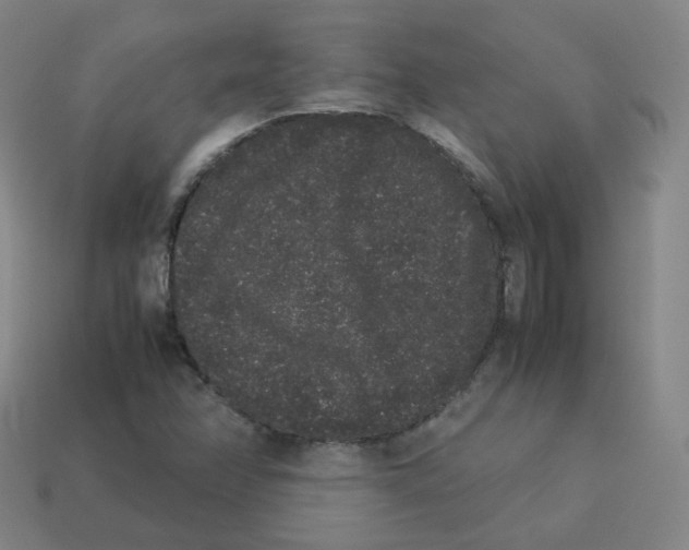 X0000113261358200910081331