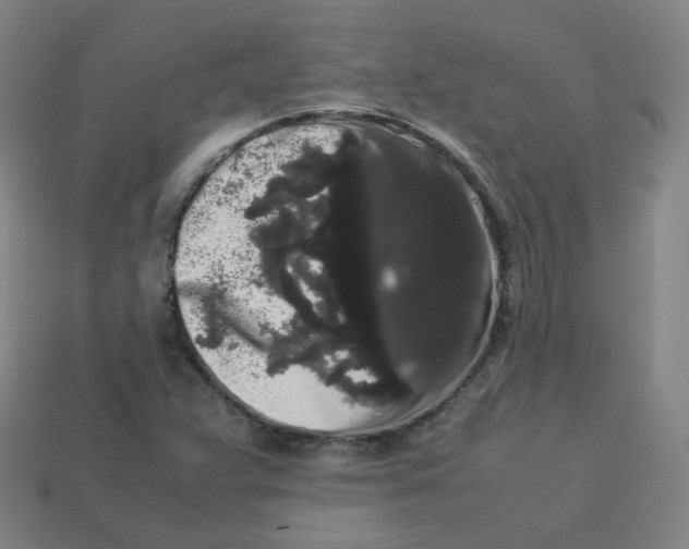 X0000113261359200910081331
