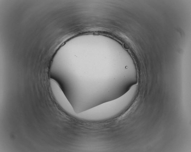 X0000113261361200910081331
