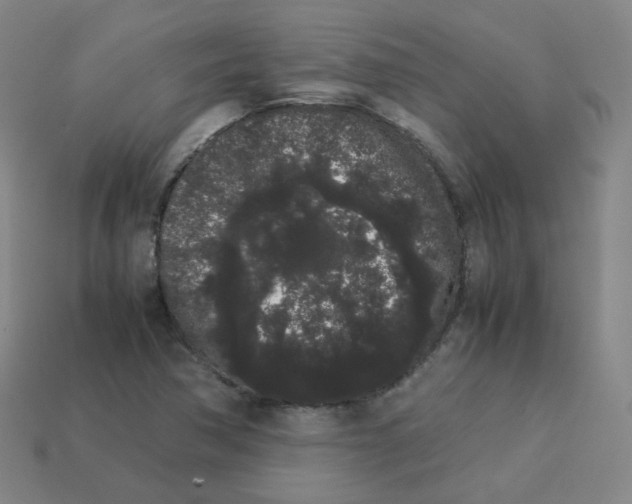 X0000113261362200910081331