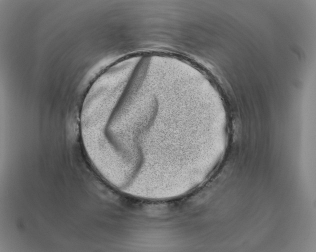 X0000113261363200910081331