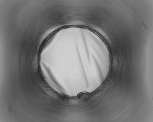 X0000113261364200910081331