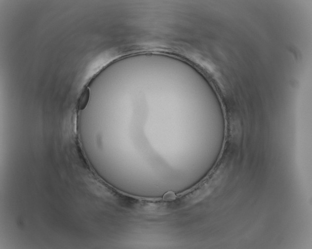 X0000113261365200910081331