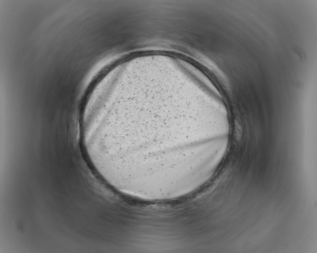X0000113261368200910081331