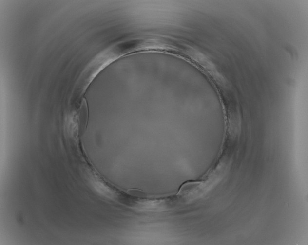 X0000113261369200910081331