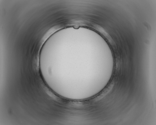 X0000113261370200910081331