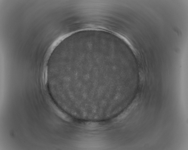 X0000113261371200910081331