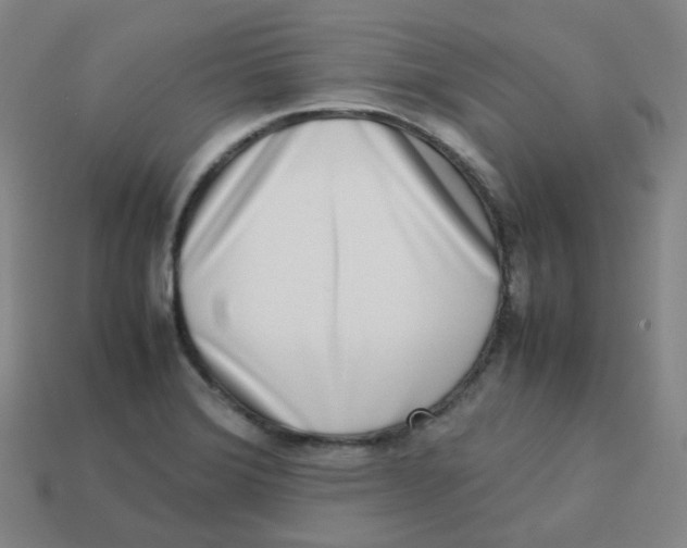 X0000113261372200910081331