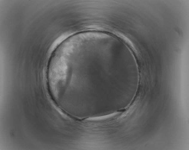 X0000113261373200910081331