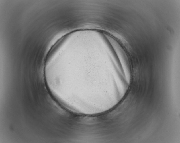 X0000113261374200910081331