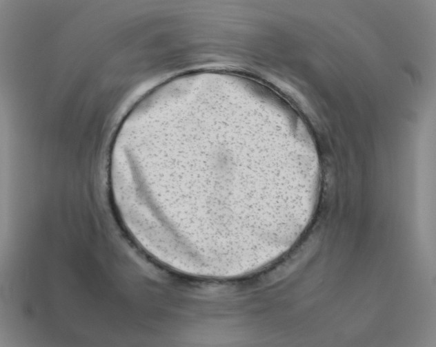 X0000113261375200910081331
