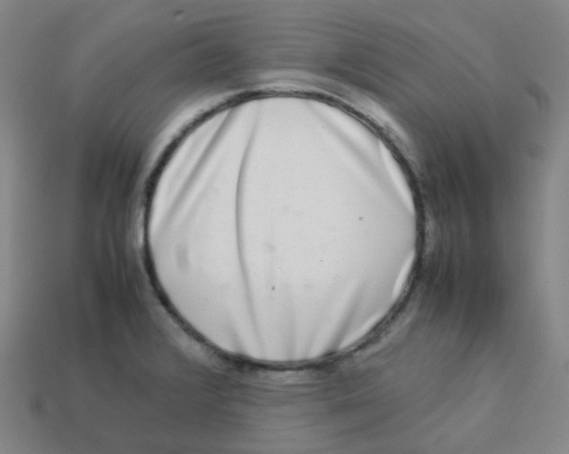 X0000113261376200910081331