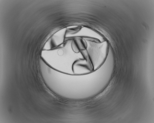 X0000113261377200910081331