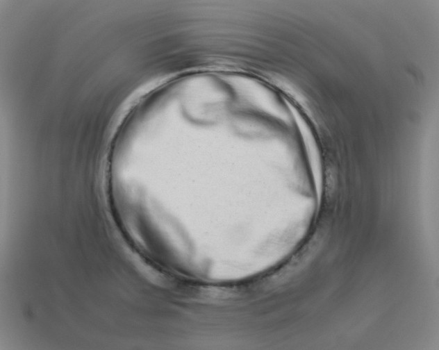 X0000113261379200910081330
