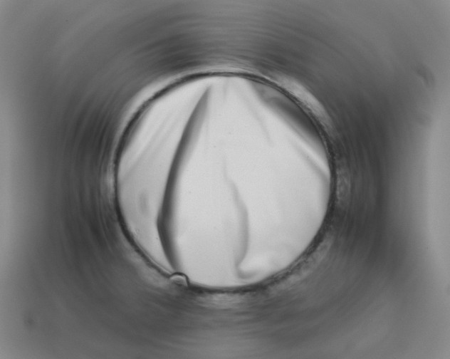 X0000113261380200910081330