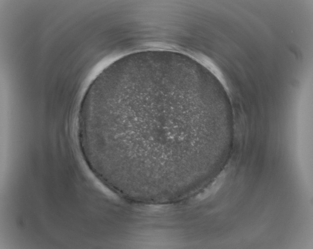 X0000113261381200910081330