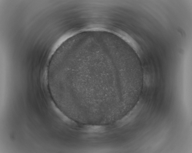 X0000113261382200910081330