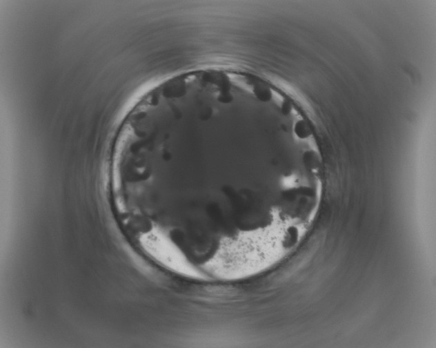 X0000113261383200910081330