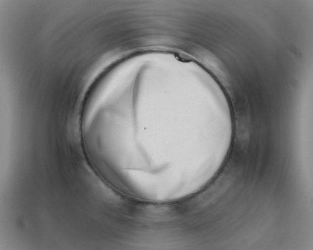 X0000113261384200910081330