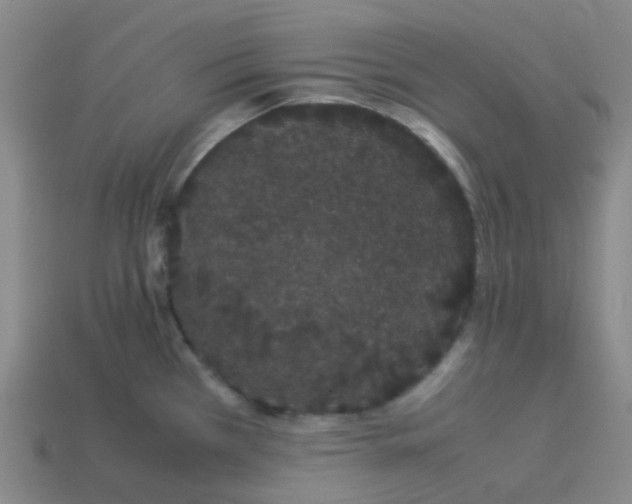X0000113261385200910081330