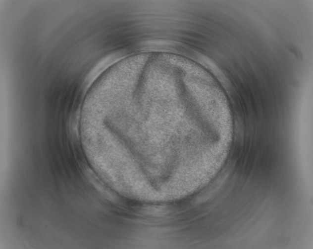 X0000113261386200910081330