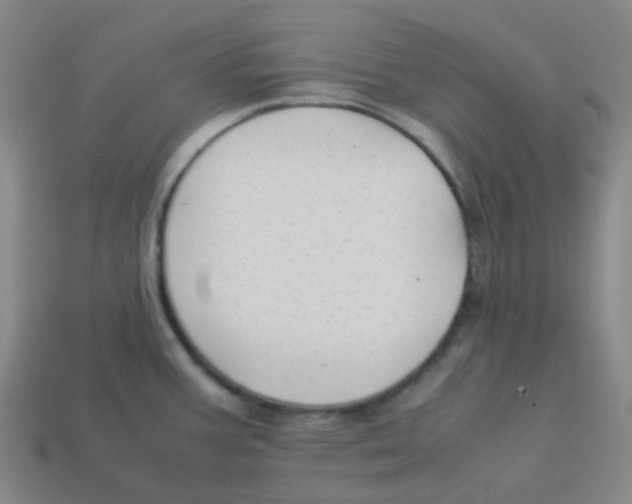 X0000113261387200910081330