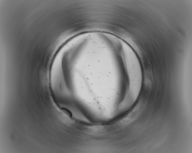 X0000113261388200910081330