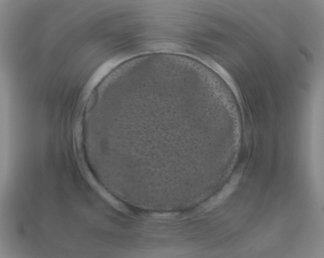 X0000113261389200910081330