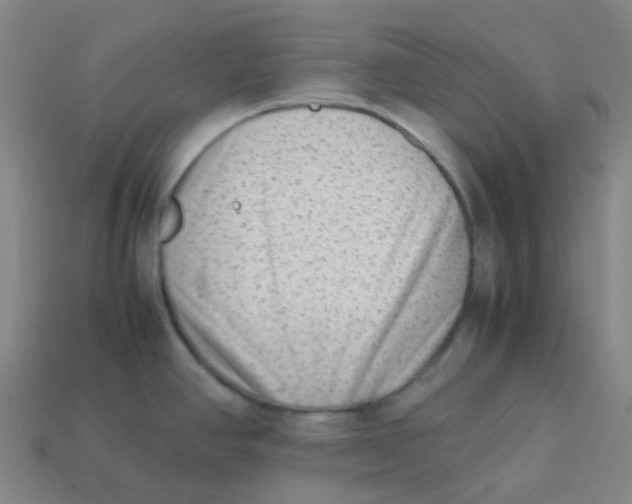 X0000113261390200910081330