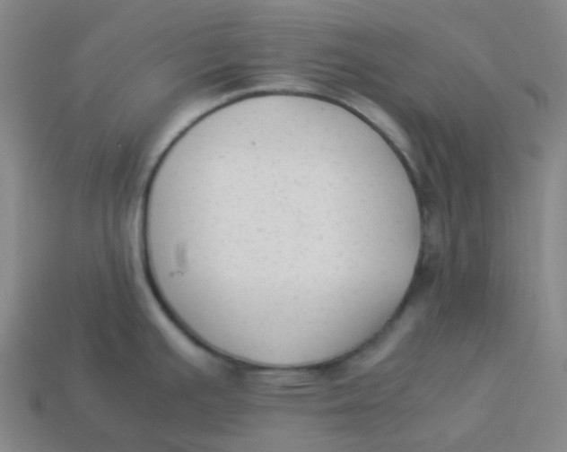 X0000113261391200910081330