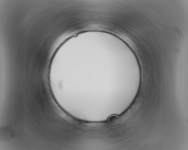 X0000113261392200910081330