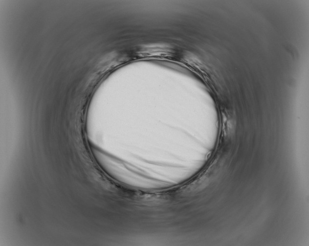 X0000113261393200910081330
