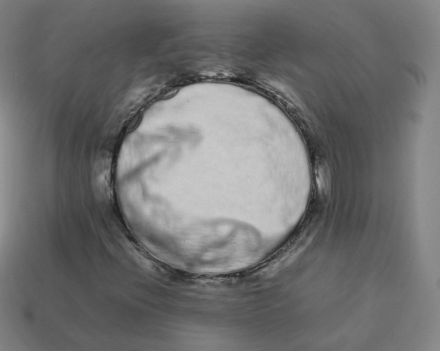 X0000113261396200910081330